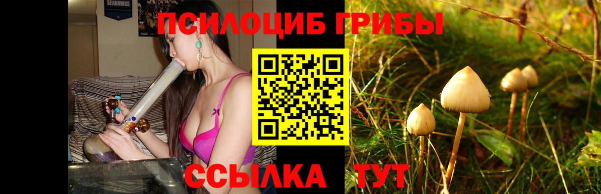Вологда  Псилоцибиновые грибы MAGIC MUSHROOMS  Вход с VPN 