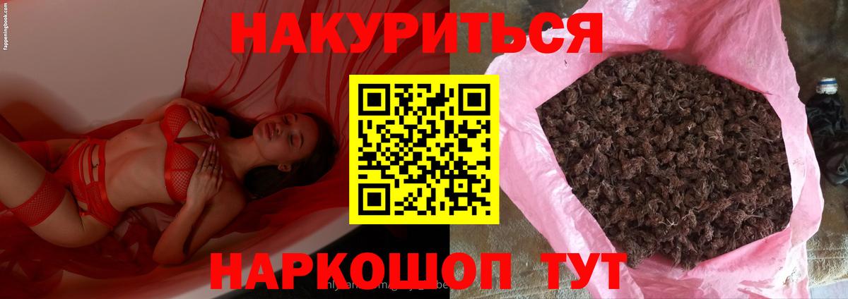 Канабис план Вологда